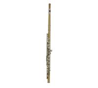 ALFAAL Flauta Transversal Flauta Dorada y Plateada con Orificio Cerrado Ranura C Flauta Instrumental para Estudiantes Principiantes con Estuche