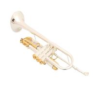 ALFAAL Instrumento De Trompeta Trompeta BB Instrumento Musical De Trompeta Profesional Chapado En Oro