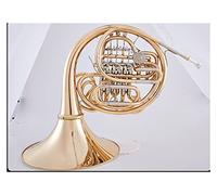 ALFAAL Instrumento Musical Profesional De 4 Teclas BB/F, Doble Cuerno Francés, Latón, Color Dorado, con Estuche Profesión Cuerno Francés