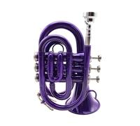 ALFAAL Si Bemol Lacado Dorado B Trompeta De Palma Plana Si Trompeta De Bolsillo Plana Trompeta De Palma Instrumento De Trompeta (Color : Purple)