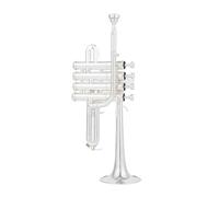 ALFAAL Trompeta Alta Profesional BB Piccolo Trompeta Latón Oro Plata Laca Superficie Trompeta (Color : Silver)