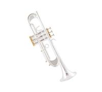 ALFAAL Trompeta BB Calidad Laca Dorada Trompeta Chapada En Plata Instrumentos Musicales De Latón Trompeta Tipo Compuesto (Color : Silver)