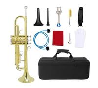 ALFAAL Trompeta BB Instrumento De Latón Plano Trompeta De Cuerno De Gran Calibre con Caja Boquilla Accesorios para Instrumentos Musicales (Color : 010)
