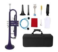 ALFAAL Trompeta BB Instrumento De Latón Plano Trompeta De Cuerno De Gran Calibre con Caja Boquilla Accesorios para Instrumentos Musicales (Color : 03)