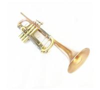 ALFAAL Trompeta De Cobre Fósforo BB B, Latón Plano Pintado En Oro, Exquisito Instrumento Duradero con Boquilla, Guantes, Funda con Correa