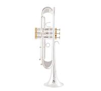 ALFAAL Trompeta para Adultos Instrumento De Trompeta En Si Bemol TR600GS con Acabado En Bronce Fosforoso Cepillado Y Baño De Plata De Alto Rendimiento Profesional(A)
