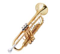 ALFAAL Trompeta para Adultos Instrumento De Trompeta Si Bemol Trompeta De Tres Notas Actuación para Principiantes Banda Profesional Instrumento De Latón
