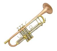ALFAAL Trompeta para Adultos Instrumento Musical De Trompeta Profesional De Bronce Fosforado Cepillado Que Amplifica La Calidad del Sonido Y La Trompeta Gruesa