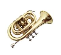 ALFAAL Trompeta para Adultos Trompeta De Palma Dorada Trompeta De Bolsillo Instrumento Musical B Plano para Principiantes Actuación De Banda