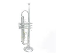 ALFAAL Trompeta para Adultos Trompeta Estándar De Instrumento De Latón Plano BB B con Guantes Funda con Correa De Tela Accesorios para Instrumentos Musicales