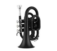 ALFAAL Trompeta para Adultos Trompeta Instrumento De Viento De Metal Estándar Trompeta Si Bemol Material De Latón Instrumento De Viento(Black)