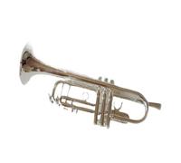 ALFAAL Trompeta Pequeña BB, Instrumentos Musicales Profesionales con Llave Dorada Y Plateada, con Estuche (Color : Silver)