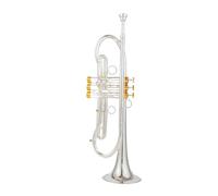 ALFAAL Trompeta Profesional BB Tune Superficie Chapada En Latón Dorado Instrumentos De Música Profesionales con Estuche (Color : Silver)