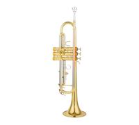ALFAAL Trompeta SIB Si Plana Latón Chapado En Plata Trompeta Profesional Instrumentos Musicales con Estuche De Cuero