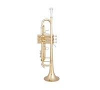 ALFAAL Trompeta SIB Si Plana Latón Chapado En Plata Trompeta Profesional Instrumentos Musicales con Estuche De Cuero (Color : Gold)