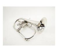 ALFAAL Trompetas B Plana Monel Piston Níquel Plateado Plata Trompeta Instrumento Musical Instrumento Trompeta