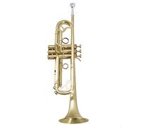 ALFAAL Trompetas B Plana Trompeta Mate Antiguo Cepillado, Adecuado para Instrumentos Musicales De Juego Profesional Instrumento Trompeta