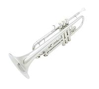 ALFAAL Trompetas BB Flat Trumpet Durable Brass Trumpet Exquisito con Guantes De Boquilla Plateada, Una Caja Acolchada Y Correa Ajustable Instrumento Trompeta