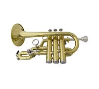 ALFAAL Trompetas BB Trumpet Cepillo Acabados Trompetas De Latón con Estuche De Boquilla Instrumentos Musicales Tromete Pistones De Acero Inoxidable Instrumento Trompeta (Color : Lacquer)