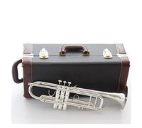 ALFAAL Trompetas BB Trumpet Plateado Plateado Instrumentos De Música Profesionales Trompetas Estudiante Incluido Caso Accesorios para Boquillas Instrumento Trompeta