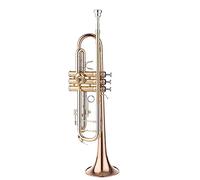 ALFAAL Trompetas Instrumento De Trompeta De Latón Fosforoso En B De Trompeta Plana De Latón Lacado De Trompeta para Principiantes Instrumento Trompeta (Color : B)