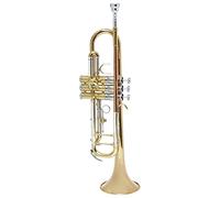 ALFAAL Trompetas Instrumento Musical De La Trompeta En B-Plana Laca De Oro Principiante Fósforo De Bronce De Bronce. Instrumento Trompeta