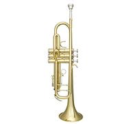 ALFAAL Trompetas Pequeño Instrumento Musical De Trompeta Plana Profesional B Instrumento Trompeta