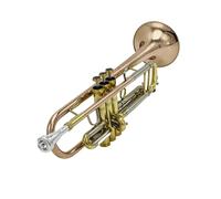ALFAAL trompetas Profesionales Estudiantes Profesionales de Trompeta Instrumentos Planos y Metales de Alta Gama.