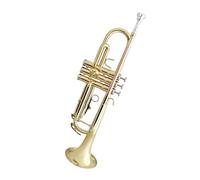 ALFAAL trompetas Profesionales Si Bemol Trompeta de Tres Tonos Instrumento de latón Cuerno Estudiante Banda para Principiantes(Color:Brass)