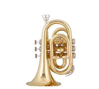 ALFAAL trompetas Profesionales Trompeta de Palma portátil microtrompeta de Bolsillo música de latón Rendimiento de Examen de Grado Principiante