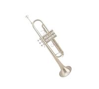 ALFAAL trompetas Profesionales Trompeta Profesional para Principiantes B Trompeta lacada en Oro Instrumento de trombón con Boquilla de Trompeta(Color:Silver)