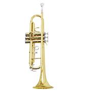 ALFAAL Trompetas Rendimiento De Instrumentos De Trompeta B-Flat Golden para Principiantes Instrumento Trompeta