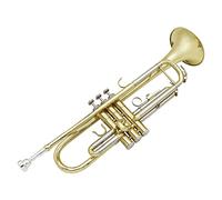 ALFAAL Trompetas Trompeta De Oro Y Plata De Dos Colores B De Trompeta Plana De Trompeta Instrumento Musical Instrumento Trompeta