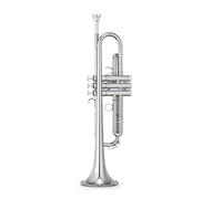ALFAAL Trompetas Trompeta Instrumento Musical B-Flat Trumpet Professional Performance para Niños Y Principiantes Adultos Instrumento Trompeta (Color : Silver)