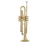 ALFAAL Trompetas Trompeta Profesional De Latón Lacado En Oro B Plana Trompeta Instrumento Musical Instrumento Trompeta
