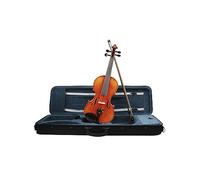 ALFAAL Violín 4/4 de Abeto de Madera Maciza, violín de enseñanza de Rendimiento Profesional con Estuche, Instrumentos de Cuerda con Arco