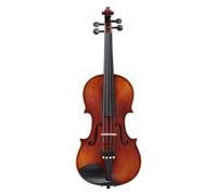 ALFAAL Violín Juego de actuación para Adultos, violín Profesional de Madera Maciza puramente Hecho a Mano, práctica para Principiantes (Color : 1/2)