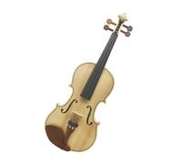 ALFAAL Violín Kit de iniciación de tamaño Completo para Principiantes, violín acústico 4/4 con Estuche, Arco de violín para Amantes de la música Violines y Accesorios