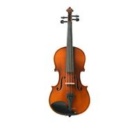 ALFAAL Violín Violín 4/4 Hecho a Mano de Madera Maciza para Adultos Conjunto Principiante (Color : 1/2)