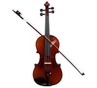 ALFAAL Violín Violín 4/4 Hecho a Mano, Panel de Madera de Abeto acústico, patrón de Tigre, Placa Trasera, Kits de violín con Caja Cuadrada para Principiantes (Color : 4/4Set)