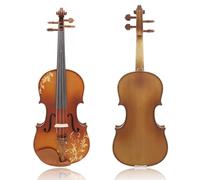 ALFAAL Violín Violín 4/4 Profesional acústico de Madera Maciza Tallada violín Conjuntos con Estuche Arco Principiante Accesorios para Instrumentos Musicales (Color : 4/4 Set)
