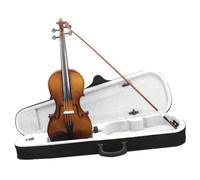 ALFAAL Violín Violín acústico 4/4, violín de Estilo Vintage con Estuche, Arco para Principiantes para Adultos (Color : 4/4)
