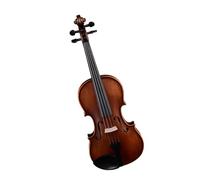 ALFAAL Violín Violín Adulto Principiante práctica Prueba Instrumento Hecho a Mano Madera Maciza Abeto patrón Arce (Color : 4/4)