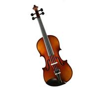 ALFAAL Violín Violín de Madera Maciza para Principiantes Grado Profesional Hecho a Mano para Adultos (Color : 1/10)