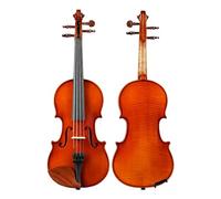 ALFAAL Violín Violín Examen de Ingreso para Adultos Práctica Violín Madera Maciza Pura (Color : 1/16)