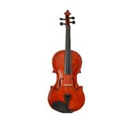 ALFAAL Violín Violín Principiante Violín Granate para Adultos Se Entrega el Juego Completo (Color : 1/2)