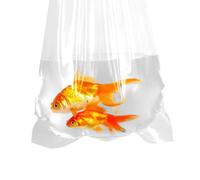 AlfaEx Bolsas de pesca, 8 x 16 pulgadas, a prueba de fugas, parte inferior redondeada, bolsas de plástico transparente para transporte de peces tropicales y marinos, calibre 200 (paquete de 10)