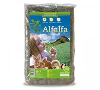 ARQUIVET Alfalfa para roedores 500 gr - Comida para Conejos, cobayas, Hamsters, Chinchillas - Alimentación Natural - Forraje para pequeños mamiferos - Alimento nutritivo Rico en vitaminas y minerales