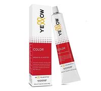 ALFAPARF Colorazione Permanente 100ml - 9/21 BIONDO CHIARISSIMO IRISE' CENERE