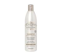 AlfaParf Il Salone Milano Glorious Shampoo 500ml - champú para cabello seco y opaco